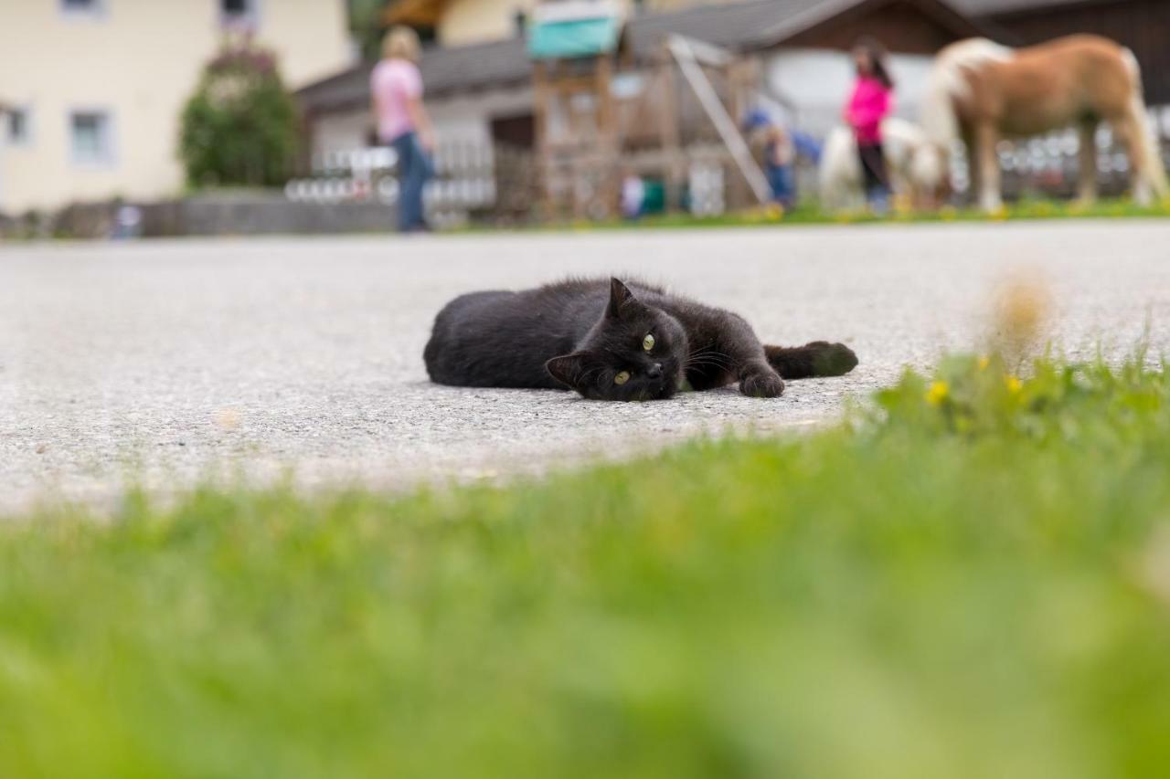 Hieserhof Neustift im Stubaital Esterno foto