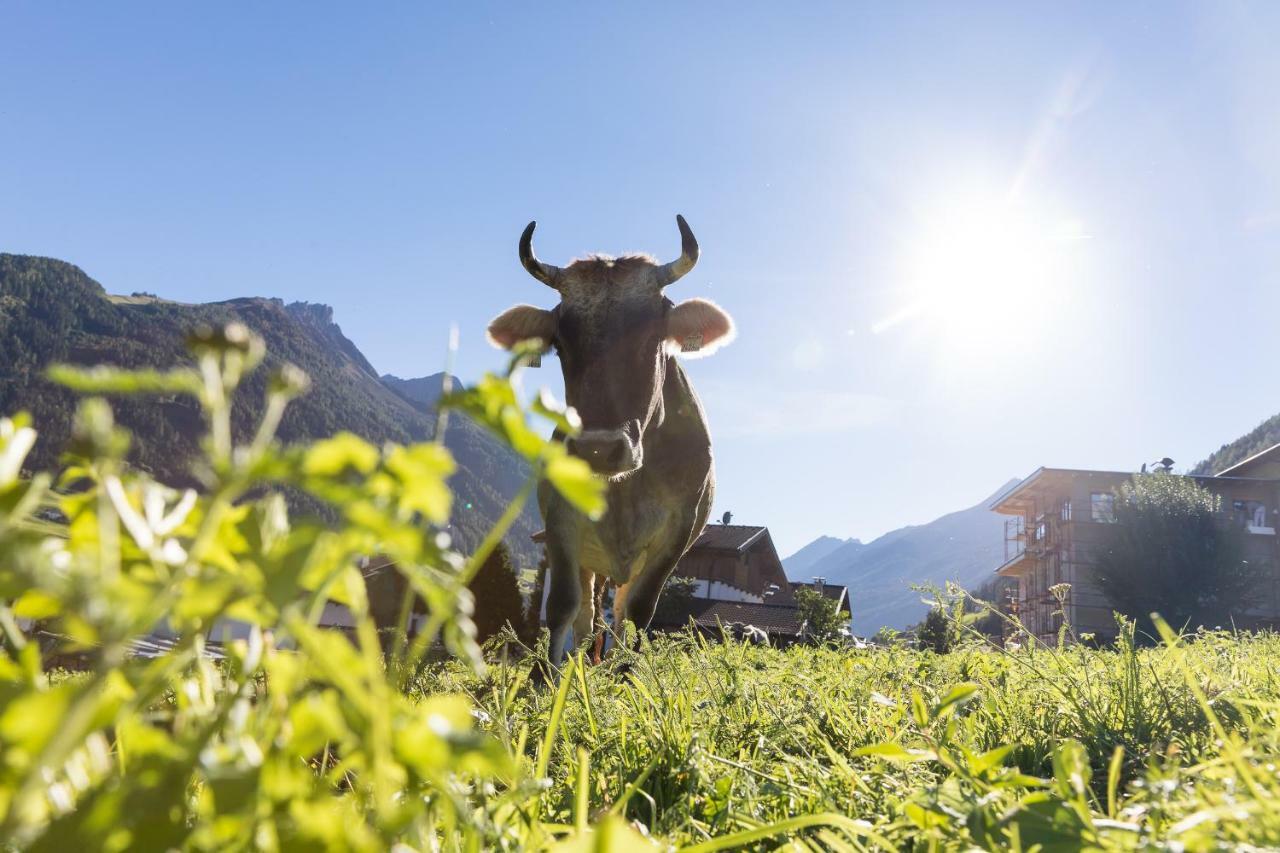 Hieserhof Neustift im Stubaital Esterno foto